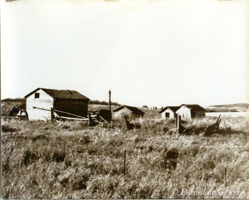 Printing Out Paper print from Alberta, Canada