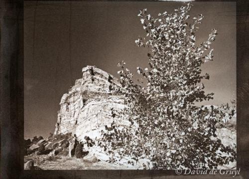 Van dyke print of a rock escaprment in Red Rocks park, Colorado