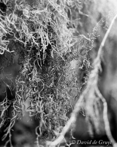 20150907-B45-013
