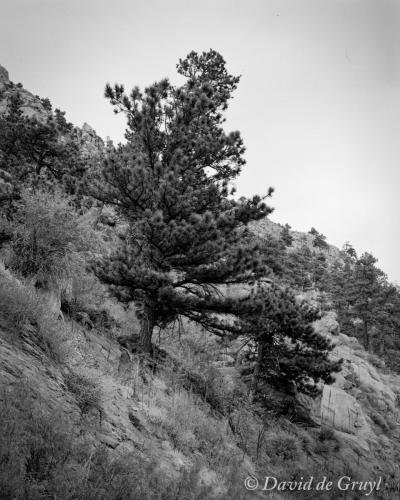 20160912-B45-016
