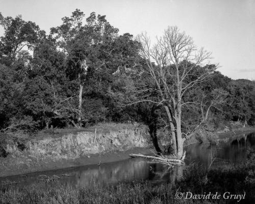 20200902-B45-0004